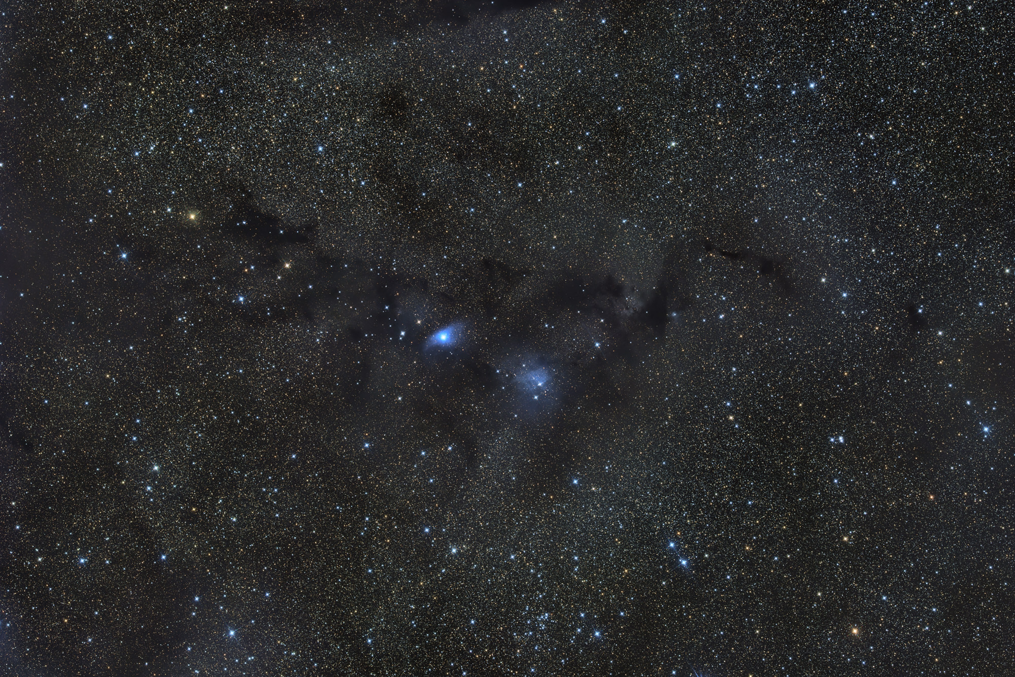 Van den Bergh 126 and van den Bergh 134 are 2 blue reflection nebulae in the constellation of Vulpecula, surrounded by numerous dark nebulae, in the arrangement of which the silhouette of Nessie can be seen.